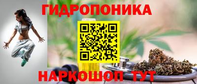 прущие крисы Новозыбков