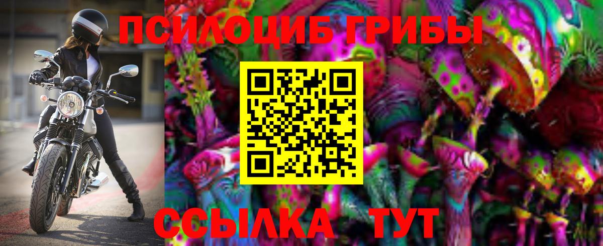 Псилоцибиновые грибы Cubensis Фрязино