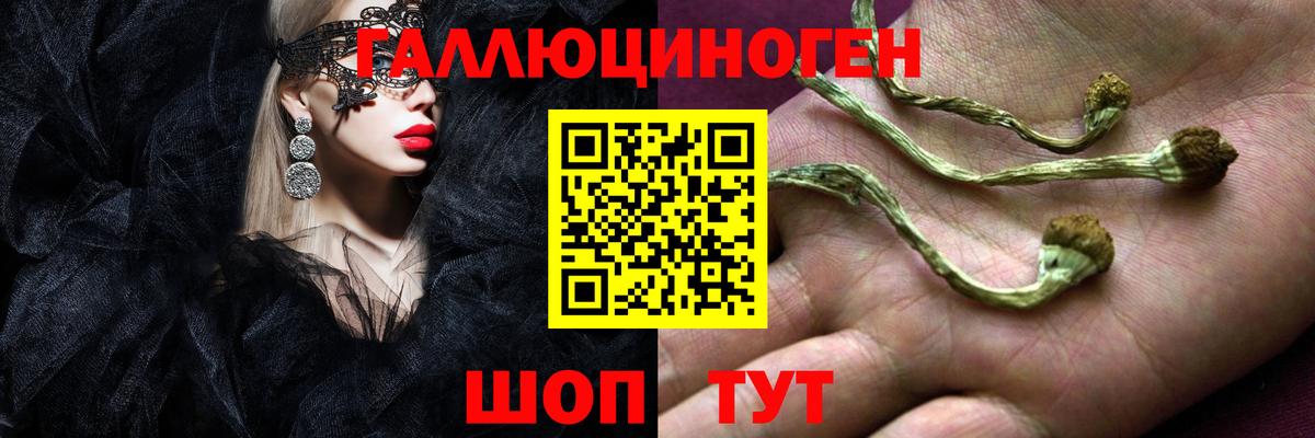 Фрязино  Галлюциногенные грибы ЛСД  даркнет сайт  Вход с VPN 
